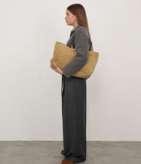 תיק נשיאה זמש - תיקים